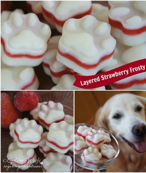 Strawberry Frosty, Frosty Paws, Homemade Pet Treats, Easy Dog Treat Recipes, Tasty Tuesday, Easy Dog Treats, Diy Dog Treats, Puppy Treats, Dog Biscuits