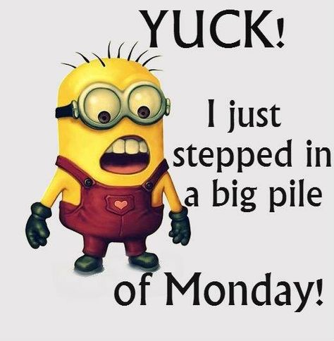 Minion Quotes - https://www.facebook.com/MinionQuotess?fref=ts Monday Humor Quotes, Minion Pictures, Minion Jokes, Minions Love, Monday Humor, A Minion, Funny Good Morning Quotes, Monday Quotes, Funny Minion Quotes