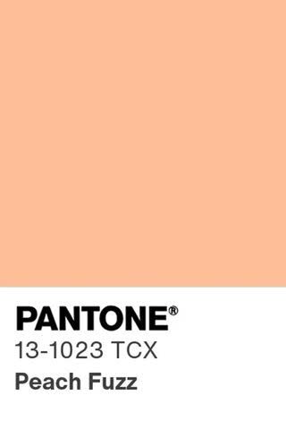 2024: Fuzzy Peach Peach Pantone, Small Hallway Decorating, Trending Things, Fuzzy Peach, Pantone 2024, 2025 Moodboard, Peach Colour, Color Vibe, Small Hallway