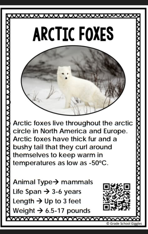 Artic Fox Preschool Activities, Arctic Fox Preschool Activities, Fox Facts For Kids, Arctic Fox Craft, Arctic Fox Facts, Winter Animals Preschool Activities, Arctic Animals Preschool Activities, Antarctica Activities, Animals Preschool Activities