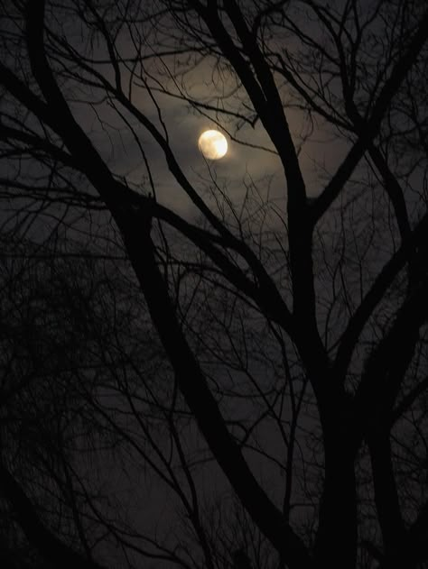 Isabel + Core + Aesthetic, The Moon Is Beautiful, Moon Photos, Look At The Moon, Dark Grunge, Moon Pictures, Dark Paradise, Moon Photography, Dark Moon