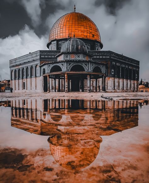 #masjid al aqsa #dome of Rock Islamic Apps, Cartoon Islamic, Islamic Question, Happy Friendship Day Video, Islamic Story, Best Islamic Books, Islamic Stories, Ramzan Mubarak, Hummingbird Pictures