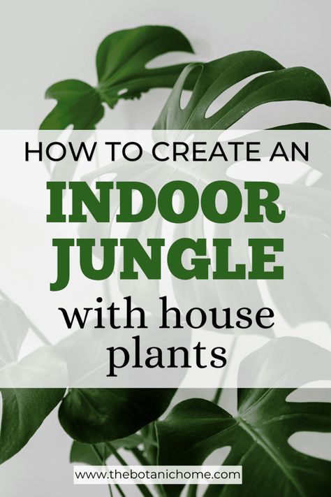 23 Best House Plants For A Tropical Inspired Home - The Botanic Home Plant Jungle Home, Mid Century Plants Indoor, Indoor Plant Oasis, House Plant Jungle, Jungle Apartment Aesthetic, Indoor Plant Jungle, Plant Filled Office, House Plant Design, Houseplant Decor Ideas