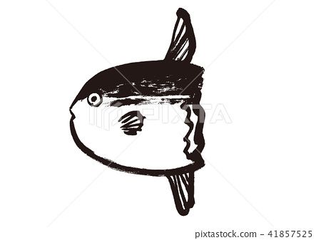 Sunfish Drawing, Sun Fish Tattoo, Sunfish Tattoo, Sunfish Drawing Cute, Boxfish Drawing, Ocean Sunfish Drawing, Lionfish Illustration, Sunfish Illustration, Mola Mola Tattoo