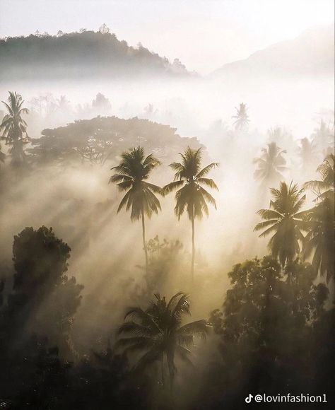 Shotting Photo, Paradise Found, Summer Feeling, Summer Dream, Tropical Island, Laura Lee, Island Life, Beach Vibe, Summer 24