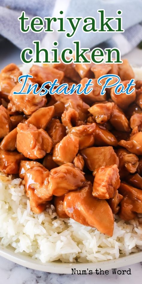 Instant Pot Teriyaki Chicken, Healthy Teriyaki Chicken, Teriyaki Chicken Breast, Chicken Teriyaki Sauce, Teriyaki Chicken Bowl, Pollo Teriyaki, Teriyaki Chicken And Rice, Easy Teriyaki Chicken, Teriyaki Recipe