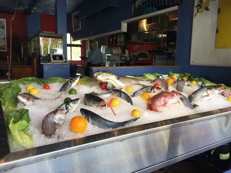 Zesty's fresh fish display! Fresh Fish Display, Fish Display, Fish Market, Fish Fillet, Fresh Fish, Italian Restaurant, Outlet, Restaurant, Ships