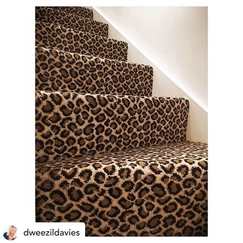 Take a look at thus superb installation of out Axminster Safari Collection in Leopard which looks superb on this staircase #carpet #flooring #stairs #staircarpet #animalprint #leopardprint #carpetideas #stylestatement #interiors #mystyle #myhome Animal Print Stairs, Animal Print Runner On Stairs, Animal Print Stair Carpet, Leopard Carpet Stairs, Neutral Animal Print Stair Runner, Leopard Stairs Carpet Runner, Entrance Stairs, Staircase Carpet, Leopard Carpet