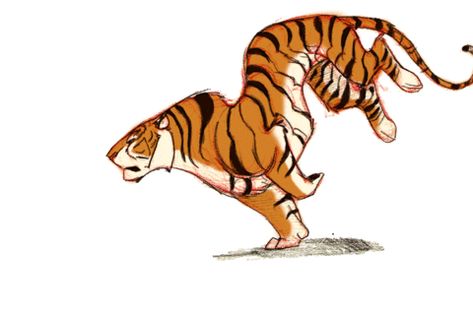 Animal Jump Animation, Tiger Animation Gif, Tiger Animation, Tiger Gif, Animals Gif, Animation Storyboard, Animation Sketches, Animation Tutorial, Creature Drawings