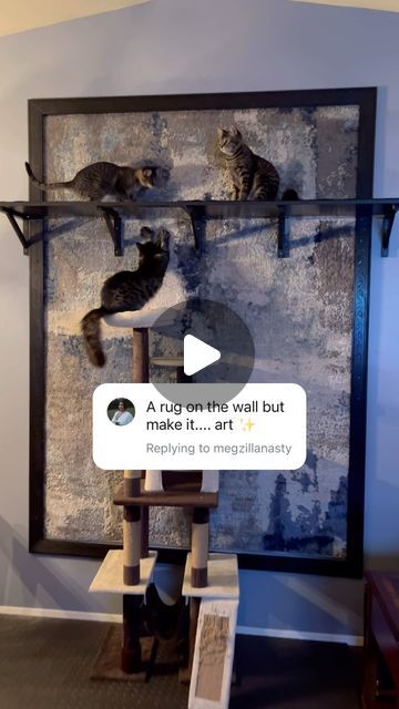 Gene, Tina and Mister Louise on Instagram: "That was literally the vision! Useable wall art for the cats! We just happened to find the perfect color match carpet at Ross!   We added a frame to really give it the art vibes! ✨  I’ll reply to some of the questions about the kitty carpet wall tomorrow 😻" Carpet Wall For Cats, Apartment Cat Ideas, Diy Cat Wall Ideas, Hidden Litter Boxes, Carpet Wall, Spoiled Cats, Cat House Diy, Wall Rug, Wall Carpet