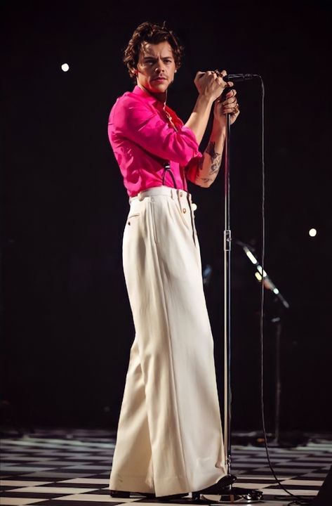 Harry Styles, Custom Gucci Shirt, Pants and Suspenders Harry Styles Outfits Concert, Harry Styles Costume, Harry Styles Fits, Harry Styles Love On Tour Outfits, Harry Styles Concert Outfit Ideas, Harry Styles Clothes, Hslot Outfit Ideas, Harry Styles Concert Outfit, Harry Outfits