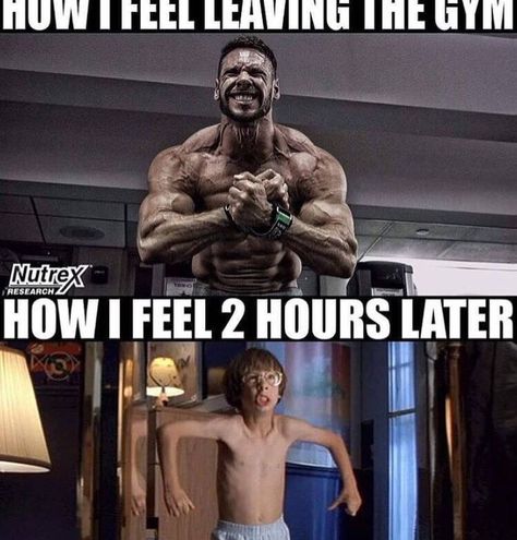 Gym Rat Quotes, Gym Facts, Lifting Memes, Gym Meme, Crossfit Humor, Bodybuilding Memes, Bodybuilding Humor, Gym Humour, Gym Memes Funny