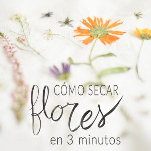 Secar flores Eco Printing, Marriage Ceremony, Diy Crafts For Home Decor, Tutorial Diy, Recycled Crafts, Pressed Flowers, Flower Shop, Flower Power, Flowers Bouquet