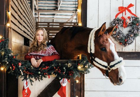 Horses Christmas, Photography Sets, Equine Photoshoot, Horse Couple, Horse Photoshoot, Christmas Couple Pictures, Christmas Pic, Stock Trailer, Horse Pics