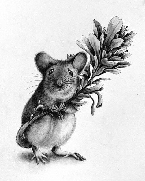 animals and nature drawing Million Tiny Lines, Rabbit Pictures, Mouse Tattoos, Mouse Illustration, Deer Photos, Pencil Drawings Of Animals, Field Mouse, Mouse Drawing, Animal Illustration Art