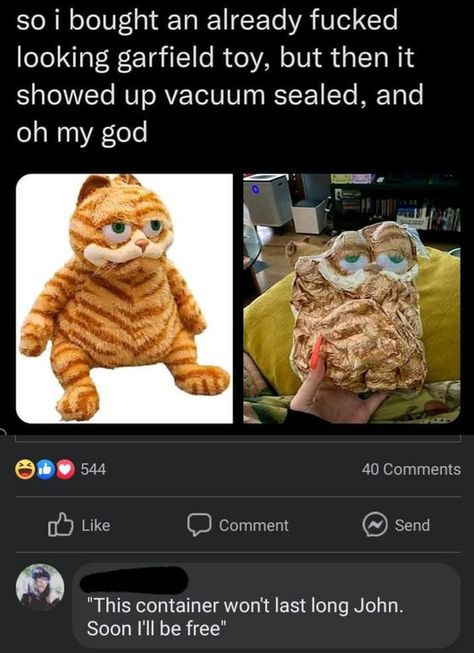 Cursed Comments Reddit, Cursed Garfield, Reddit Comments, Cursed Comments, Friday Night Fever, Best Funny Photos, Insta Reels, Animated Videos, Funny Twitter