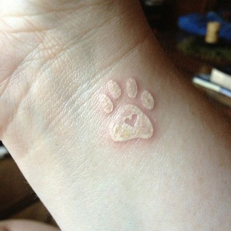 60+ Ideas for White Ink Tattoos | a perfect way to commemorate Mr. Oatches Tatoo Dog, Pet Memorial Tattoo, Pawprint Tattoo, Dog Paw Tattoo, White Ink Tattoo, Paw Tattoo, Memorial Tattoos, White Tattoo, Small Tattoo