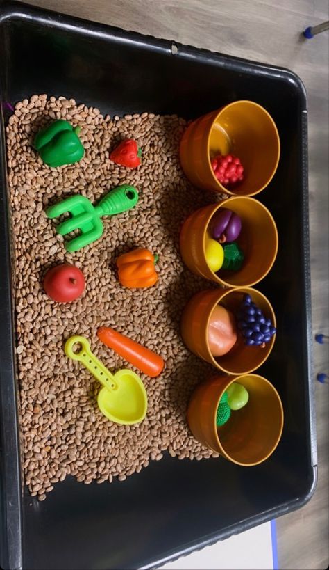 Nutrition Sensory Bin, Fruits Sensory Activities, Food Theme Sensory Bin, Nutrition Week Activities, Food Sensory Activities, Fruits Activity For Preschool, Nutrition Activities For Kids, Cooking Lesson Plans, Bird Crafts Preschool