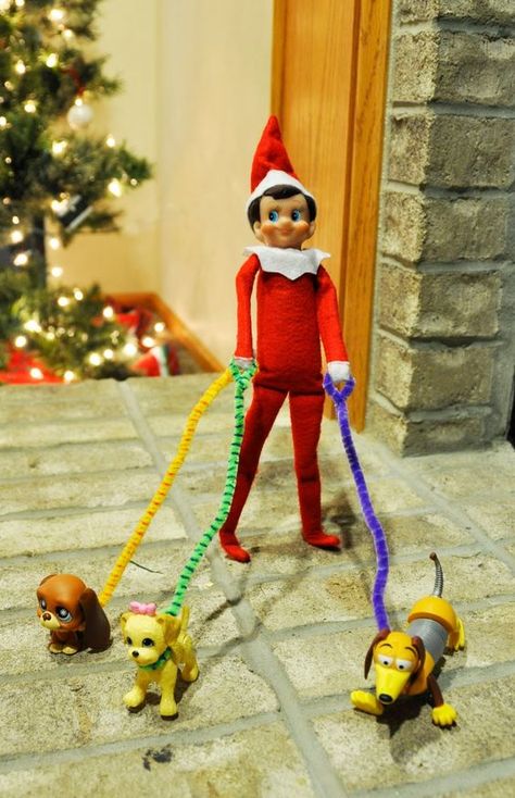 62 Funny Ideas for Elf On the Shelf Make the elf get all wrapped up in wrapping paper.  Set up a power-lifting elf with some marshmallows and a toothpick. A great way to use Littlest Pet Shop or other puppy toys is to make the elf “walk” them with a string or pipe cleaners for … Elf On The Shelves, Timmy Time, Elf Magic, Awesome Elf On The Shelf Ideas, Xmas Elf, Elf Antics, Elf Fun, Buddy The Elf, Elf On The Shelf Ideas