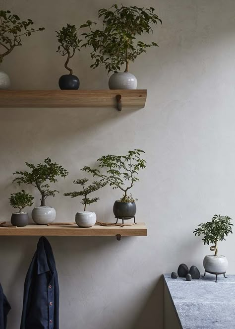 Fox Fodder Farm Williamsburg, Flower Design Shop in Brooklyn Fox Fodder Farm, Japanese Plants, Indoor Tree, Interior Plants, Japanese Interior, Plant Design, Come Together, Interior Inspo, Ikebana