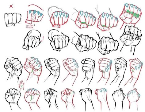 art fist hand reference Draw Hands, Human Anatomy Drawing, Hand Drawing Reference, Human Anatomy Art, Hand Reference, Body Reference Drawing, 캐릭터 드로잉, Figure Drawing Reference, Hand Art Drawing