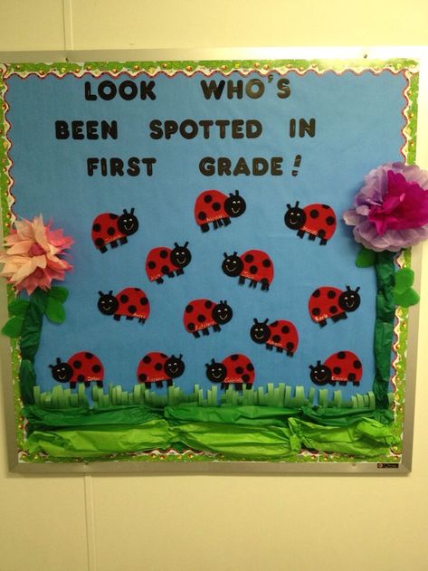 Look who's been spotted reading. Have pictures of kids among the ladybugs Grass Bulletin Board Ideas, Ladybug Bulletin Boards, Ladybug Classroom, Bulletin Board Sayings, Room 101, Spring Board, School Door Decorations, Spring Bulletin Boards, Ladybug Theme