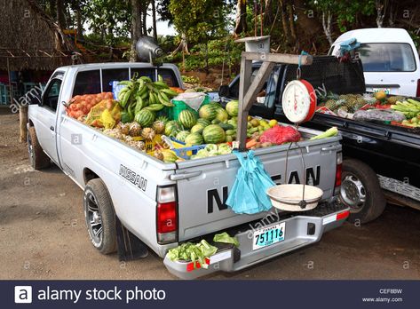 Truck delivering fresh fruit in Santa Catalina , Veraguas Province , Panama - Stock Image Fruit Truck, Own Business Ideas, Mobile Food Trucks, Home Organizing Ideas, Farm Trucks, Santa Catalina, European Culture, Food Words, Image Vector