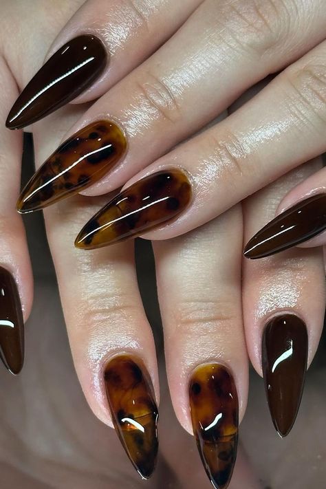 51 Cute Tortoise Shell Nails for Year Round Tortie Nail Inspo Timeless Nail Designs, Tortoise Shell Manicure, Green Tortoise Nails, Auburn Nails Designs, Tortishell Nails Design French, Tortious Nail Design, Dark Almond Nails Designs, Toirtoshell Nails, Cna Nails