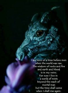 Quotes About Dragons, Dragon Poems, Dragon Lore, Dragon Quotes, Dragon Mythology, Dragon Energy, Witch Things, Dragon Nursery, Dragon Dreaming