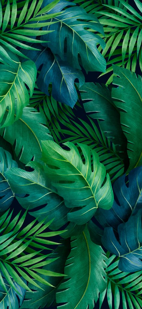 Wallpaper iphone - aesthetic green leaves | WallpaperiZe - Phone Wallpapers Tropical Wallpaper Summer, Hijau Aesthetic, Iphone Wallpaper Tropical, Leaves Wallpaper Iphone, Green Leaf Wallpaper, Green Leaf Background, Palm Leaf Wallpaper, Zero Wallpaper, Tropical Background