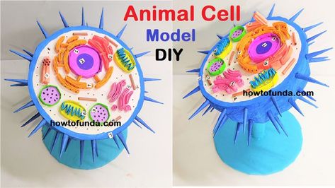 animal cell model making using cardboard | DIY science project | craftpiller @howtofunda 3d Animal Cell Project, Animal Cell Model Project, 3d Animal Cell, Giant Paper Mache, Animal Cell Model, Cell Model Project, Animal Cell Project, Volcano Projects, Diy Science Projects