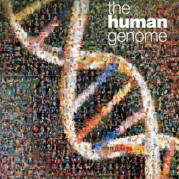 Highlights include an interactive timeline of the human genome, a virtual tour of the Smithsonian’s Genome exhibit, 3D imagery and video. Resources are available for teachers from genetics organizations worldwide. Students are able to explore jobs in the field via the Genomic Career Resource tool. Seafloor Spreading, Dna Art, Interactive Timeline, Journal Publication, Life Code, Scientific Journal, Human Genome, Human Dna, Molecular Biology