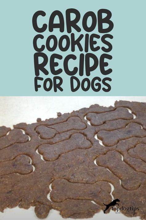 Recipe: Carob Cookies for Dogs Carob Dog Treats, Puppy Treats Homemade, Cookies For Dogs, Dog Cookie Recipes, Cook Dog Food, Easy Dog Treat Recipes, Dog Biscuit Recipes, Easy Dog Treats, Carob Powder