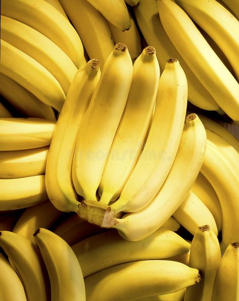 Bunch of bananas. On top of more bananas , #spon, #Bunch, #bananas, #top #ad Fruits Photos, Banana Fruit, Fruit Wallpaper, Fruit Photography, Food Wallpaper, Beautiful Fruits, Fresh Fruits And Vegetables, Tropical Fruits, Delicious Fruit