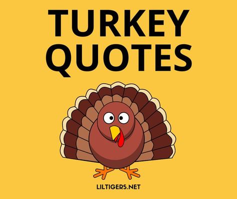 50 Best Turkey Quotes for Thanksgiving Turkey Jokes Humor, Funny Turkey Pictures, Turkey Pun, Quotes For Thanksgiving, Thanksgiving Jokes For Kids, Turkey Jokes, Turkey Quotes, Turkey Pics, Thanksgiving Puns