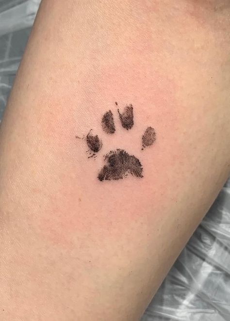 Cat Paw Tattoos, Cat Tattoo Simple, Tato Minimal, Pawprint Tattoo, Cat Tattoo Small, Black Cat Tattoos, Paw Tattoo, Cat Tattoos, Cat Tattoo Designs