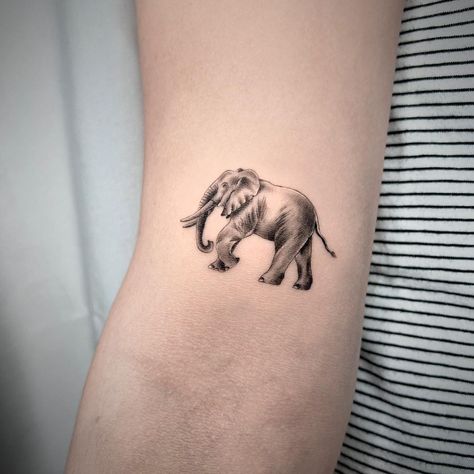 Elephant Tattoos Men, Tattoo Pols, Indian Elephant Tattoo, Soft Tattoo, Tattoo 2024, Elephant Tattoo, Elephant Tattoos, Band Tattoo, Fine Line Tattoos