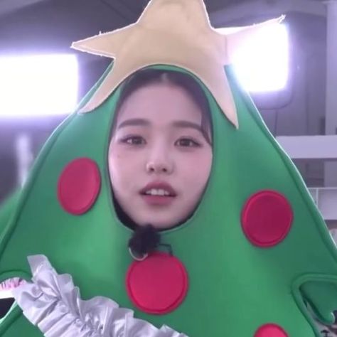 Wonyoung Funny, Christmas Tree Costume, Iz One Icons, Tree Costume, Iz One Wonyoung, Pleasing People, Korean Pop Idol, Fandom Kpop, Meme Faces