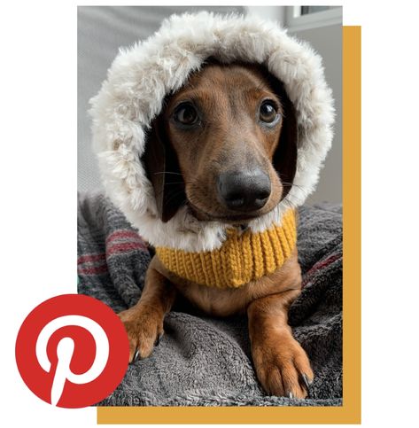 Faux Fur Dog Snood | Free Crochet Pattern | CalicoRadio Dog Snood Crochet Pattern Free, Free Dog Snood Knitting Pattern, Free Crochet Pattern For Dog Snood, Crochet Dog Snood, Crochet Dog Poop Bag Holder Free Pattern, Crochet Dog Snood With Ear Holes, Crochet Dog Sweater Free Pattern, Snood Pattern, Crochet Dog Hat