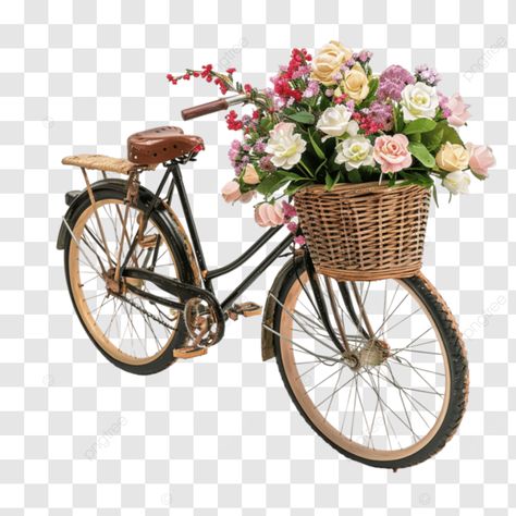 blooming ride a bicycle adorned with flowers floral bloom bicycle png Bicycle Basket, Paper Flower Backdrop, Transparent Image, Digital Planning, Flower Backdrop, Retail Design, Png Transparent, Free Png, Png Image