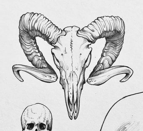 Ram Skull Sketch, Goat Horn Tattoo, Satanic Goat Skull Tattoo, Bull Horns Tattoo, Goat Skull Drawing, Ram Skull Drawing, Goat Skull Art, Goat Skull Tattoo, Ram Skull Tattoo