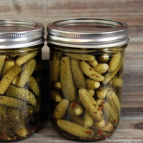 Dill Pickle Recipes, Canning Pickles Recipe, Mini Pickles, Making Dill Pickles, Refrigerator Pickles Dill, Pickle Recipes Homemade, Garden Canning, Dill Pickle Recipe, Pickles Recipe