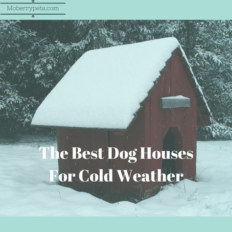 Cold Weather Dog House, Winter Dog House Cold Weather, Diy Outside Dog House, Heated Dog House, Winter Dog House, Large Dog House Outdoor, Warm Dog House, Outdoor Dog Area, Cat House Outdoor