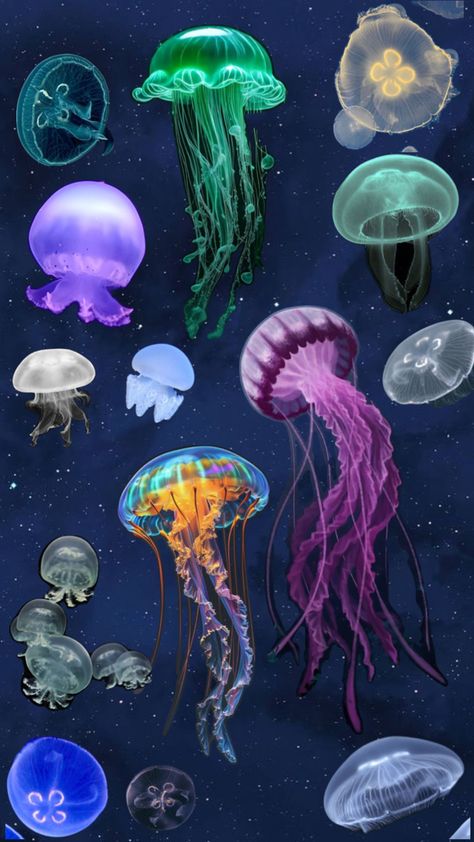 Twilight Zone Ocean Animals, Twilight Zone Ocean, Space Jellyfish, Dark Jellyfish, Twilight Zone, Ocean Animals, Ocean Waves, Jellyfish, Pretty Cool