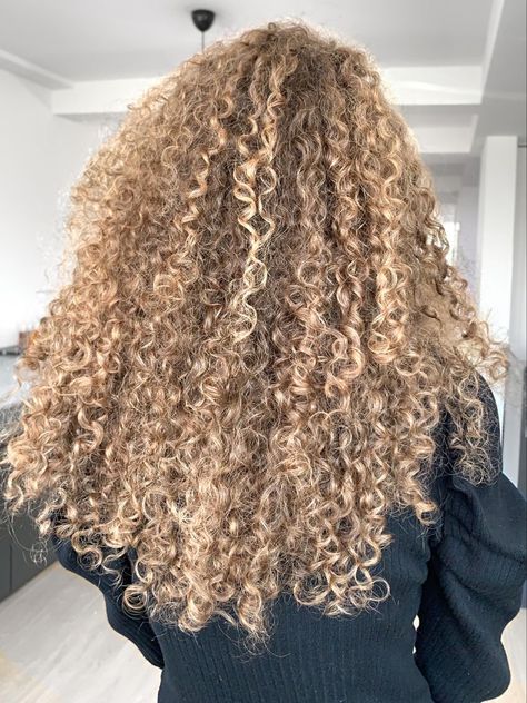 Blonde Curly Hair Black Women, Herringbone Highlights, Blonde Highlights Curly Hair, Blonde Hair Types, 3c Curly Hair, Aesthetic Blonde, Dyed Curly Hair, Highlights Curly Hair, Blonde Curly Hair