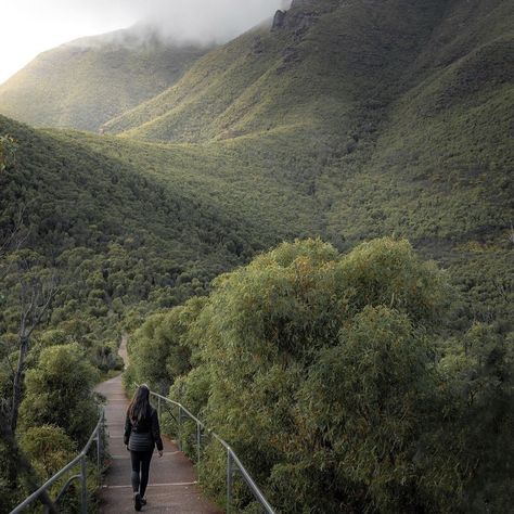 This is the path to the summit of Bluff Knoll, one of the highest peaks in Western Australia. The trail offers breathtaking views of the surrounding wilderness, and the challenging climb is well worth the effort. Are you up for the adventure? 🌄🥾 📸 Captured by: @jack.and.megan . . . #BluffKnoll #hikingadventure #WesternAustralia Bluff Knoll, Sorrento Beach, Beach Instagram, Sorrento, The Trail, Western Australia, Breathtaking Views, Enjoy Life, Granola