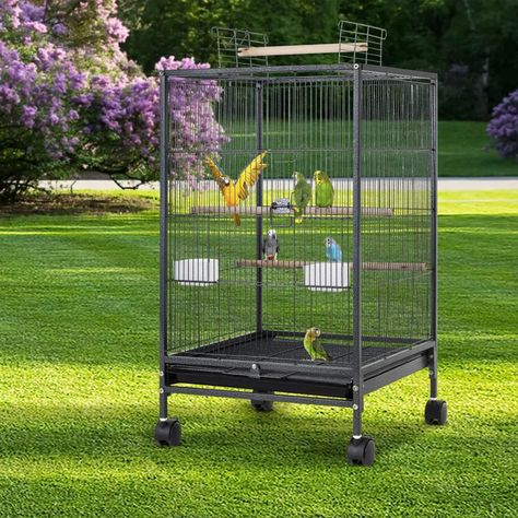 Williston Forge 35-Inch Wrought Iron Bird Cage With Play Open Top And Rolling Stand,Large Parrot CageBird Cages For Parakeets,Cockatiel, Canary, Finch, Lovebird, Parrotlet,Pigeons, African Grey Quaker - Wayfair Canada Large Parrot Cage, Iron Bird Cage, Parakeet Cage, Sun Conure, Zebra Finch, Parrot Cage, Parakeets, African Grey, Bird Cages