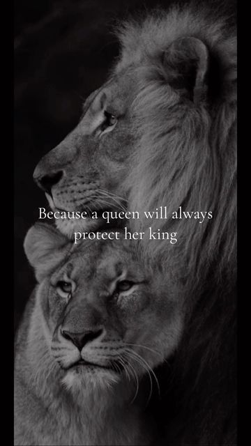 Lion Protecting, Lion King And Queen Quotes, The Lion King Quotes Wallpaper, Lion Protecting His Queen, A Queen Always Protects Her King, Queen Protects The King Lion, Lion King Remember Who You Are, Lioness Quotes, Dragon Ball Z Iphone Wallpaper