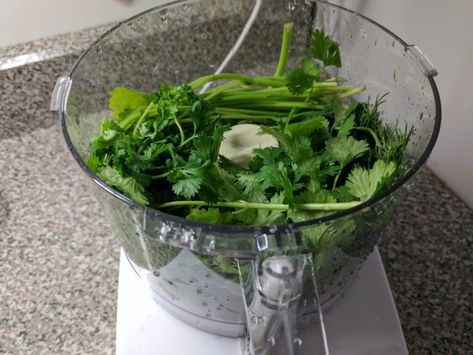 Fresh Coriander Recipes, Fresh Cilantro Recipes, Coriander Recipes, Coriander Oil, Cilantro Recipes, Weekday Dinner, Garden Harvest, Herbal Magic, Coriander Leaves