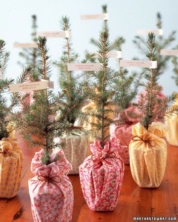 For a festive winter wedding favor, give your guests Christmas trees to go Guest Christmas Gift Ideas, Christmas Favours, Affordable Wedding Centerpieces, Tree Favors, Diy Winter Wedding, Potted Herbs, Colorado Spruce, Tiny Trees, Winter Wedding Favors